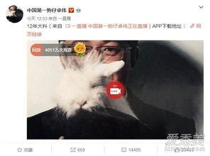 长沙婚外情爆料事件最新,真相揭露，家庭危机引发社会关注